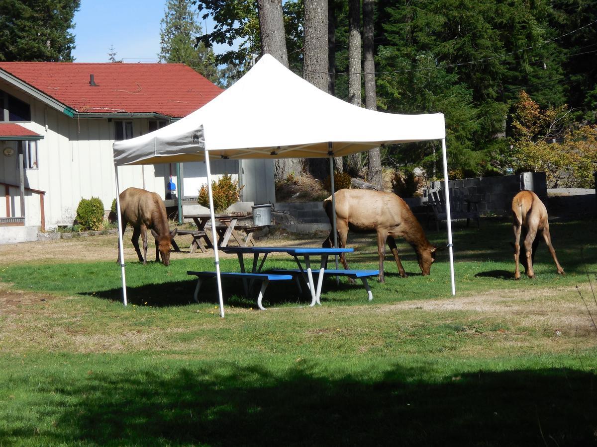 Mountain View Lodge - No Pets Allowed Packwood Luaran gambar